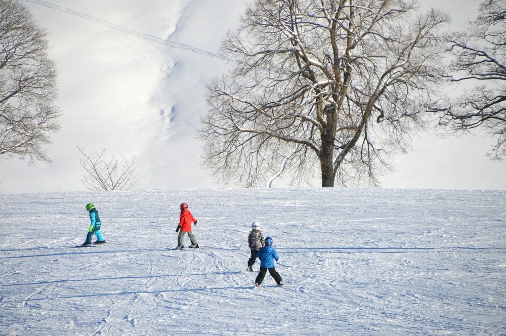 Skidåkningens Hjärta - Pistmaskinens Roll i Vintersporten