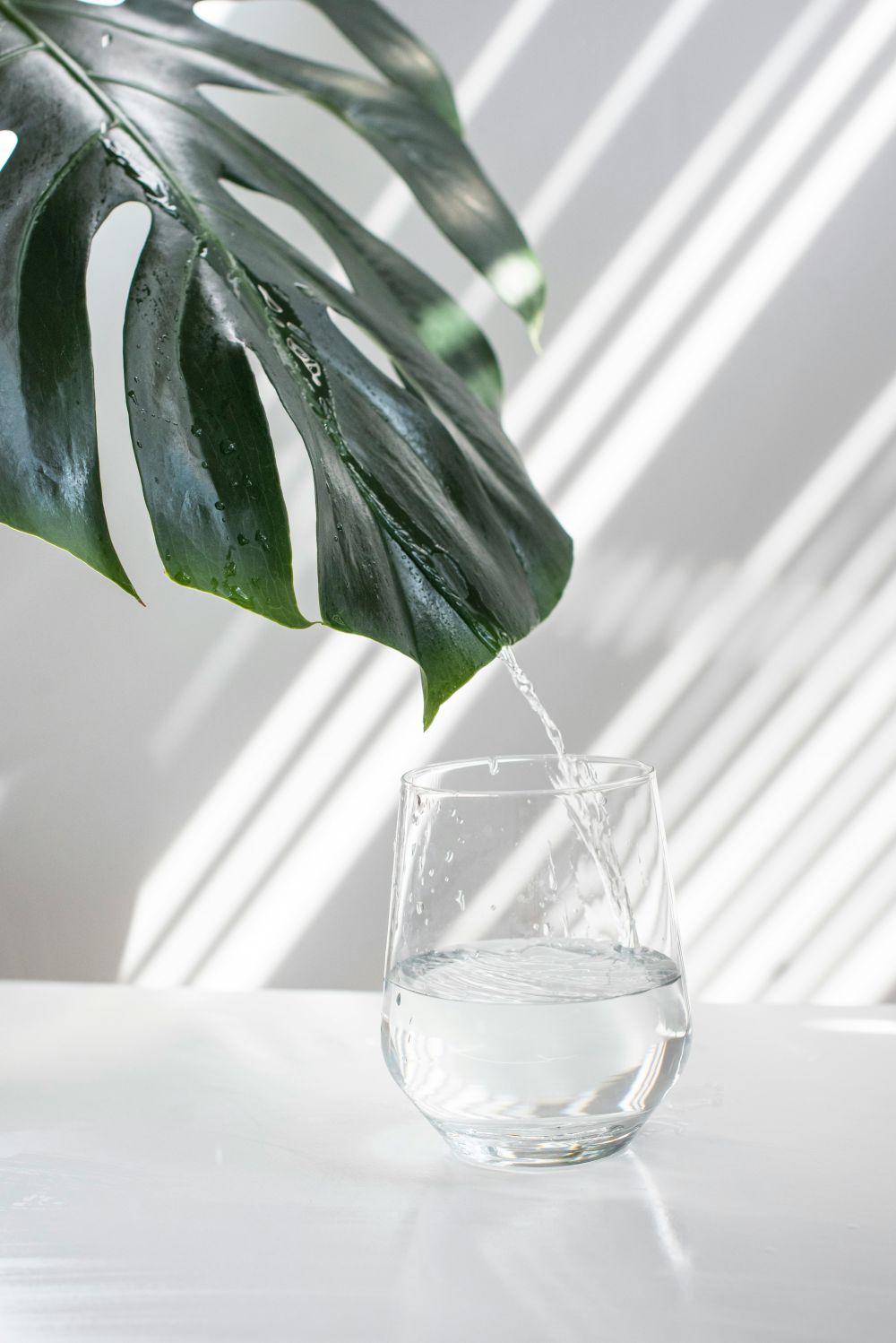 Vattenfilter: En betydelsefull detalj